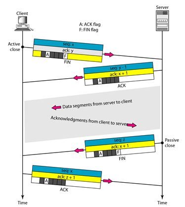 TCP Connection_Termination Halfclose